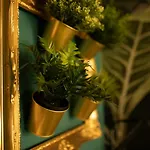 Apartamento Jungle