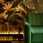 Jungle Wroclaw