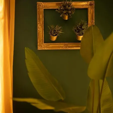 Jungle Вроцлав