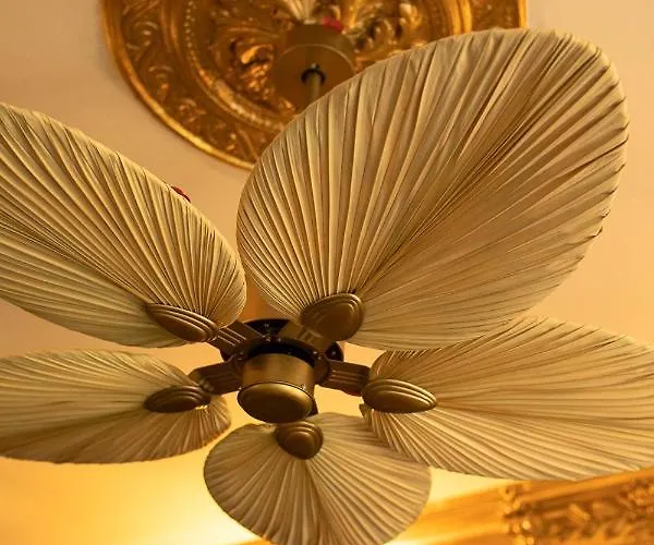 Appartement Jungle Wrocław