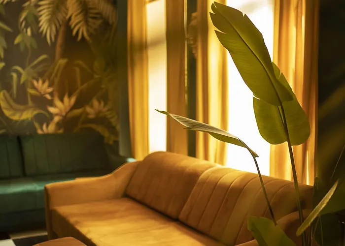 Apartman Jungle Wrocław